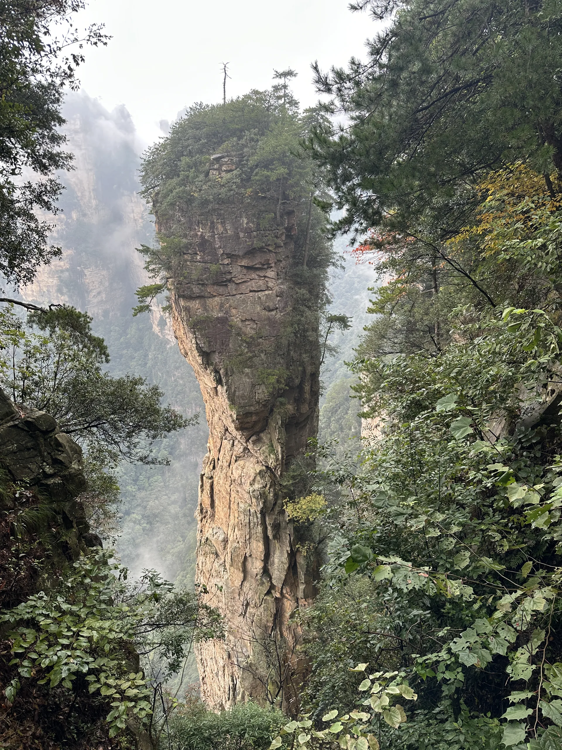 National Forest Park