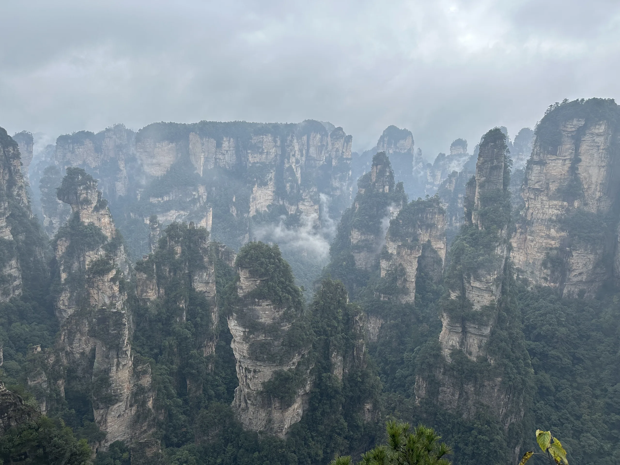 Zhangjiajie national forest park