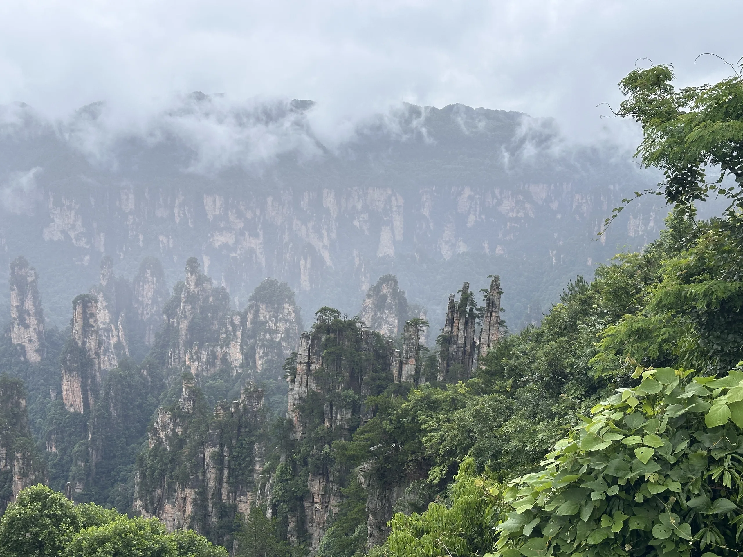 Zhangjiajie National Forest Park