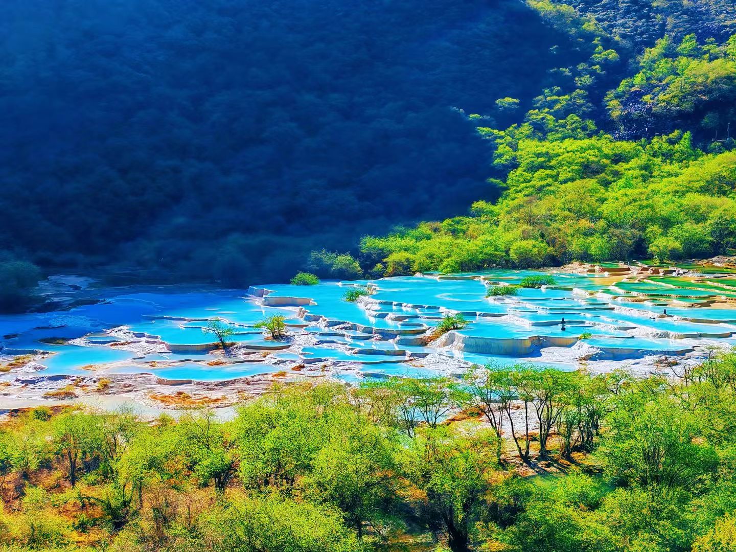 Chengdu High-speed Train & Huanglong Scenic Spot Tour