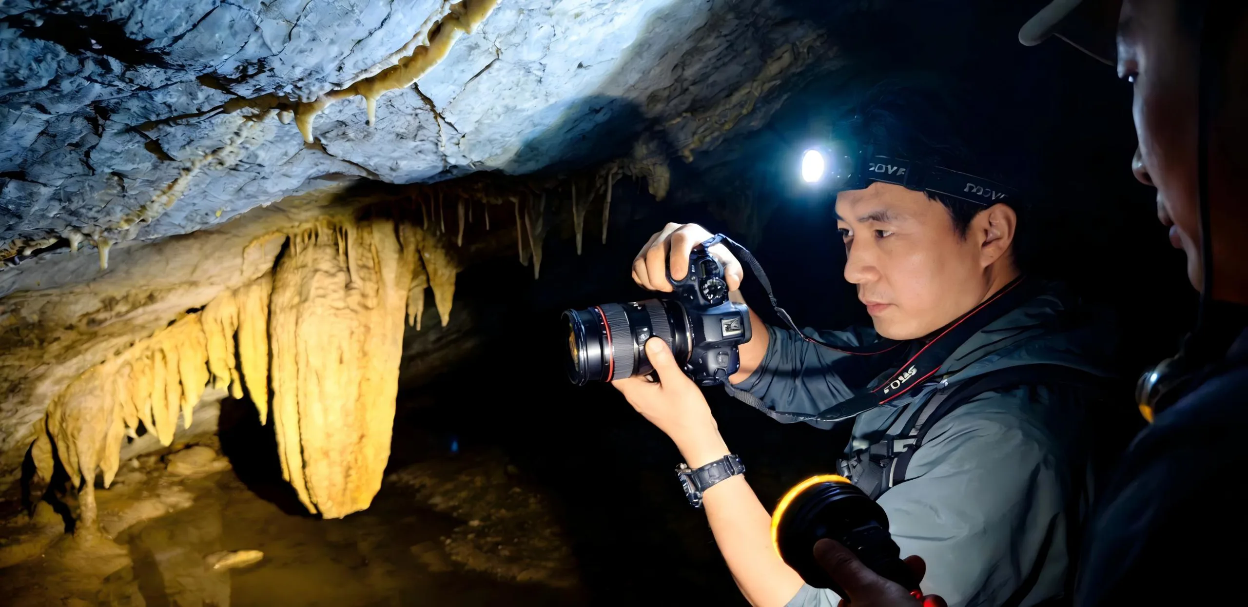 Professional on-site photography