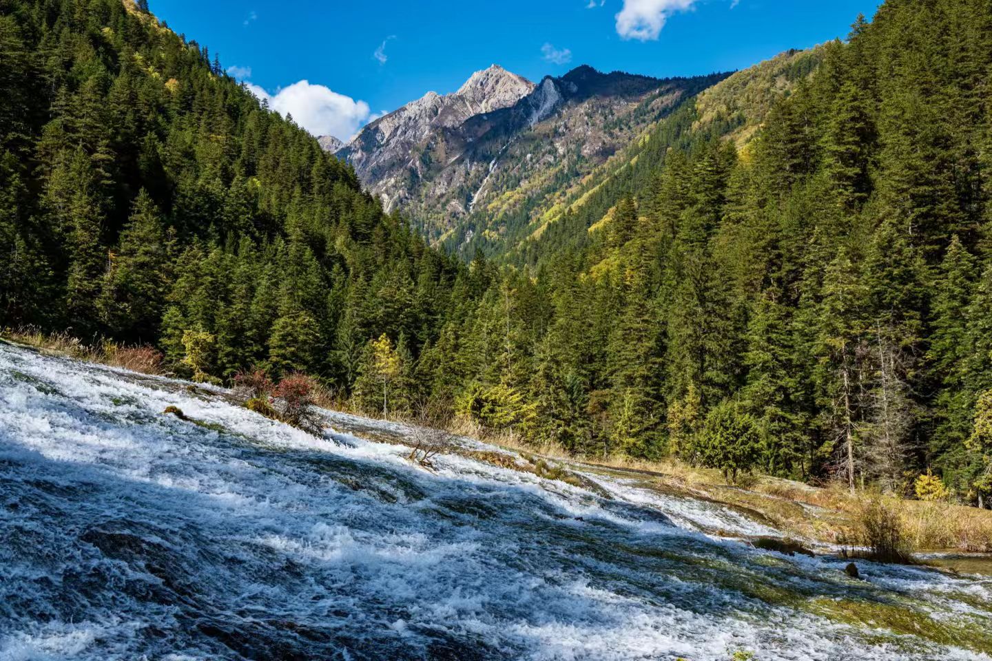 Rize Valley