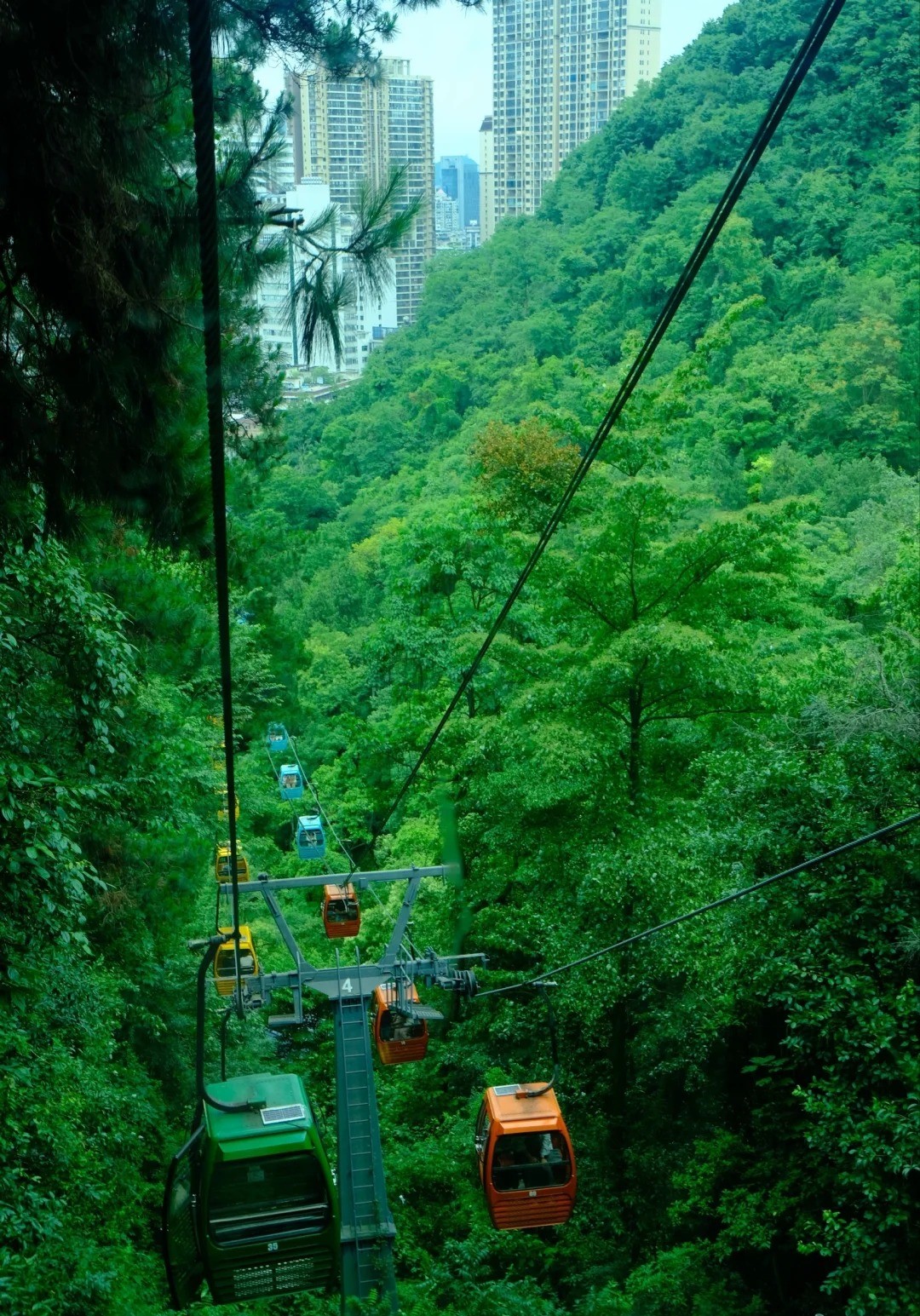 Qianling Mountain Park